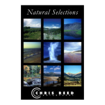 Natural Selections posters by csreedabc Natural Selections posters