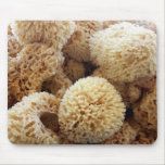 Natural Sponges Mousepad mousepads