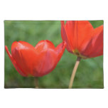 Natural Spring Tulip Floral Placemats