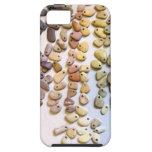 Natural Stone Rainbow - iPhone 5 case casemate cases