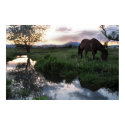 Natural Sunset posters