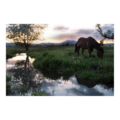 Natural Sunset Print by DukeJohnson