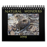 Natural Wonders 2009 Calendar