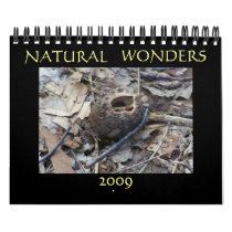 Natural Wonders 2009 Calendar