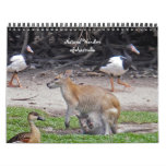 Natural Wonders of Australia Calendar