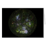 Natural World Card