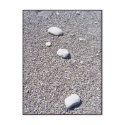 Natural Zen Postcard by calibree Natural Zen Postcard