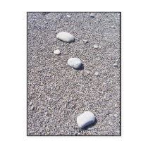 Natural Zen Postcard