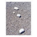 Natural Zen posters by calibree Natural Zen posters