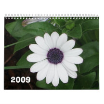 Naturaleza 2009 calendario