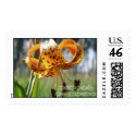 naturally beautiful postage