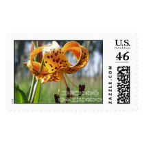 naturally beautiful postage by laurenwilcher naturally beautiful postage