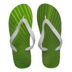 Naturally Cool Surfaces_Palm Frond radiating Sandals