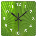 Naturally Cool Surfaces_Palm Frond (with numbers) Square Wallclock