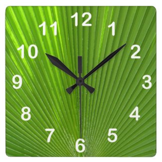 Naturally Cool Surfaces_Palm Frond (with numbers) Square Wallclock