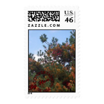 Nature 1 By Flex postage
