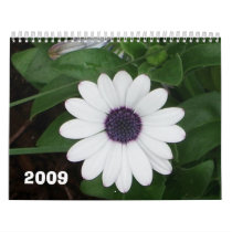 Nature 2009 wall calendar