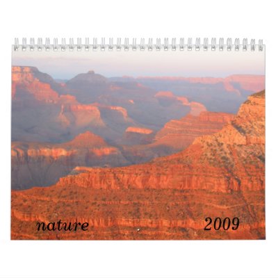nature 2009 calendar by cardart
