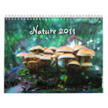 Nature 2011 calendar