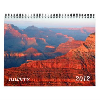 nature 2012 calendar calendar