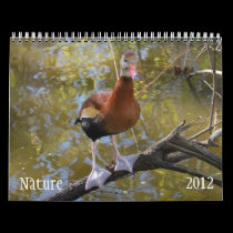 Nature 2012 Calendar calendars
