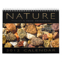 Nature - 2012 Calendar (Up-Close Edition)