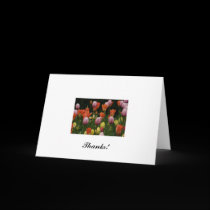 nature__3_, Thanks! cards