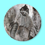 Nature and Art Center magnets