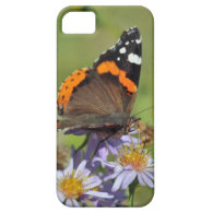 Nature and the Butterfly iPhone 5 Cover
