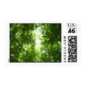 nature and trees postage