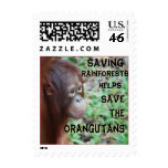 Nature and Wildlife Conservation stamps
