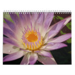Nature at Its Best Calendar
