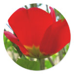 Nature at Large F2 stickers