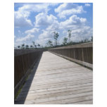 Nature Board Walk flyers