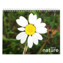 nature wall calendars