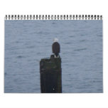 nature wall calendars