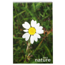 nature wall calendar