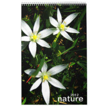 nature wall calendars