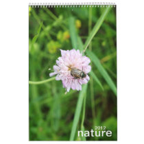 nature wall calendars