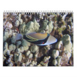 Nature calendar
