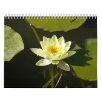 nature calendar