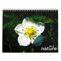 nature calendars