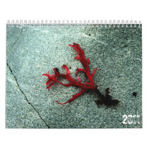 Nature Calendar 2011