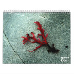 Nature Calendar 2011