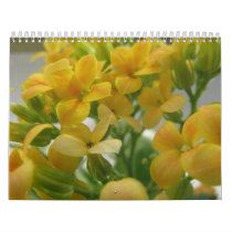 Nature Calender Wall Calendar