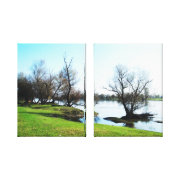 nature wrappedcanvas