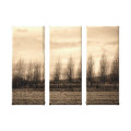 nature wrappedcanvas