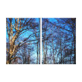 nature wrappedcanvas