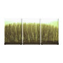nature wrappedcanvas