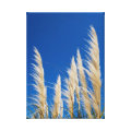 nature wrappedcanvas